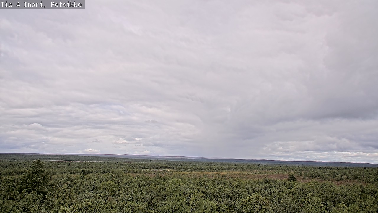 Kelikamerat Kuva Tie 4 Inari, Petsikko, Inari, Lappi