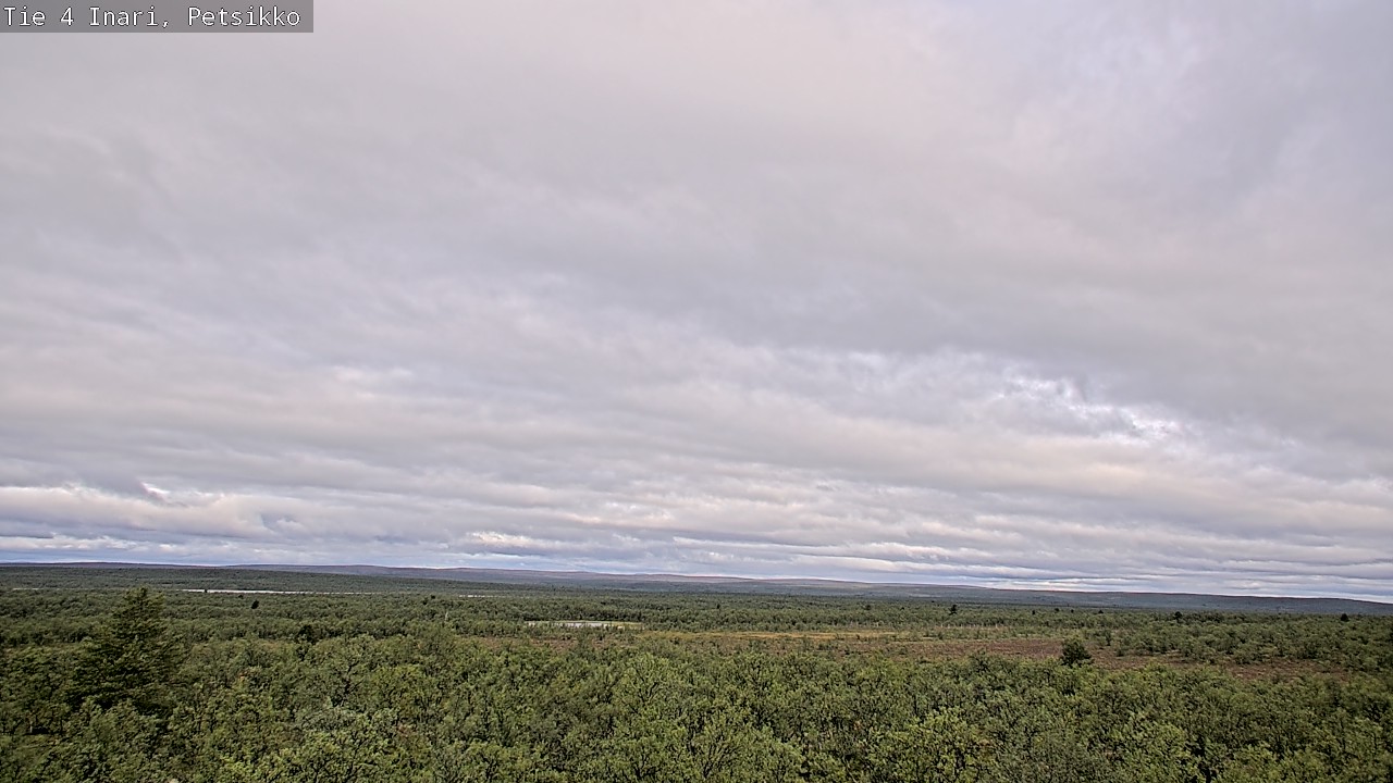 Kelikamerat Kuva Tie 4 Inari, Petsikko, Inari, Lappi