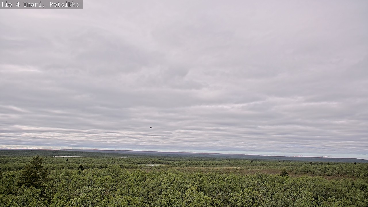 Kelikamerat Kuva Tie 4 Inari, Petsikko, Inari, Lappi