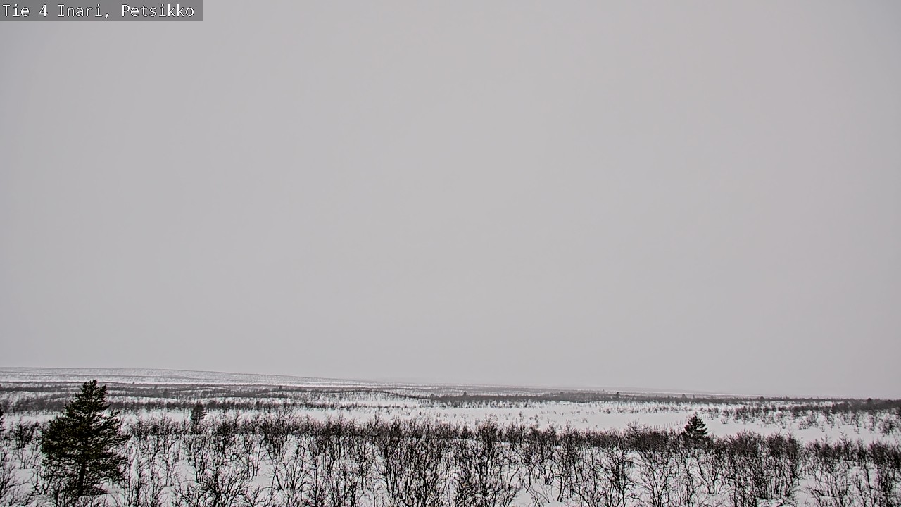 Kelikamerat Kuva Tie 4 Inari, Petsikko, Inari, Lappi