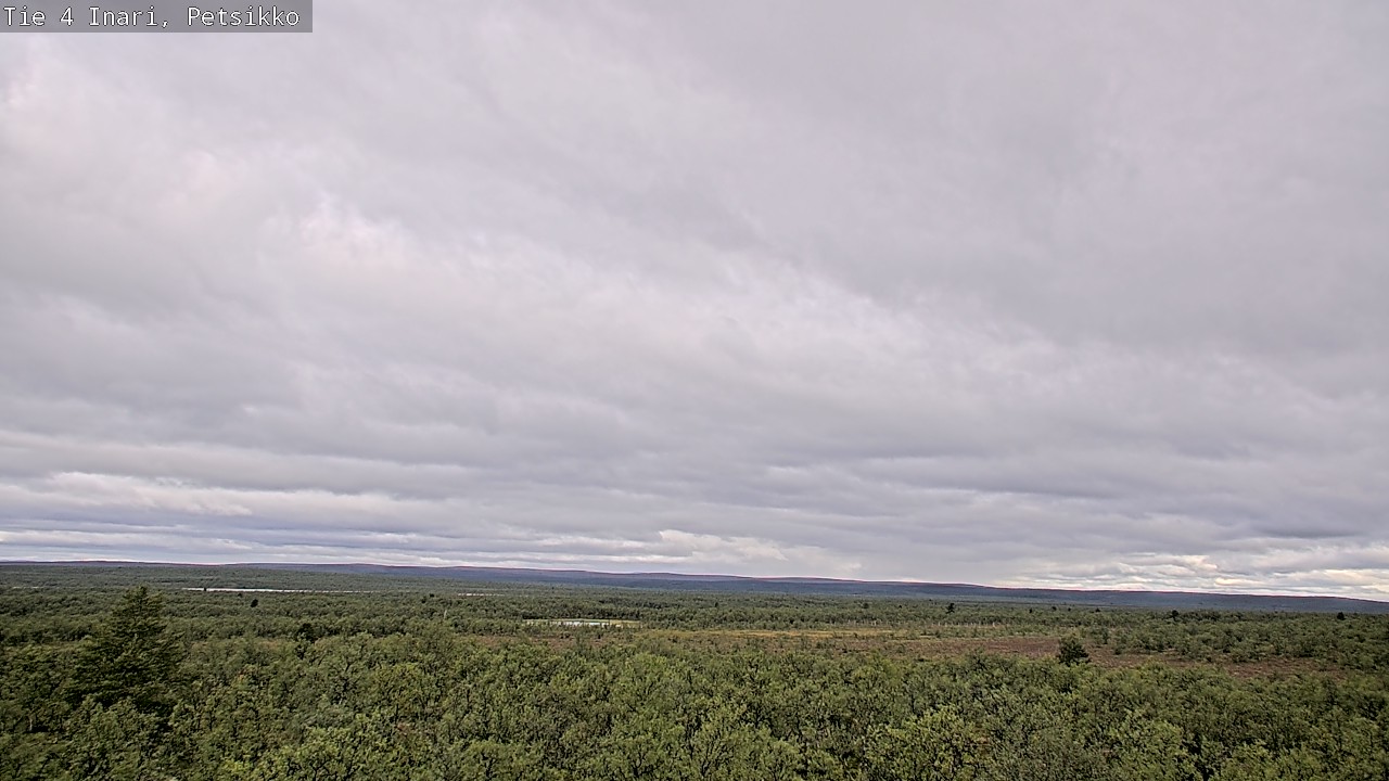 Kelikamerat Kuva Tie 4 Inari, Petsikko, Inari, Lappi