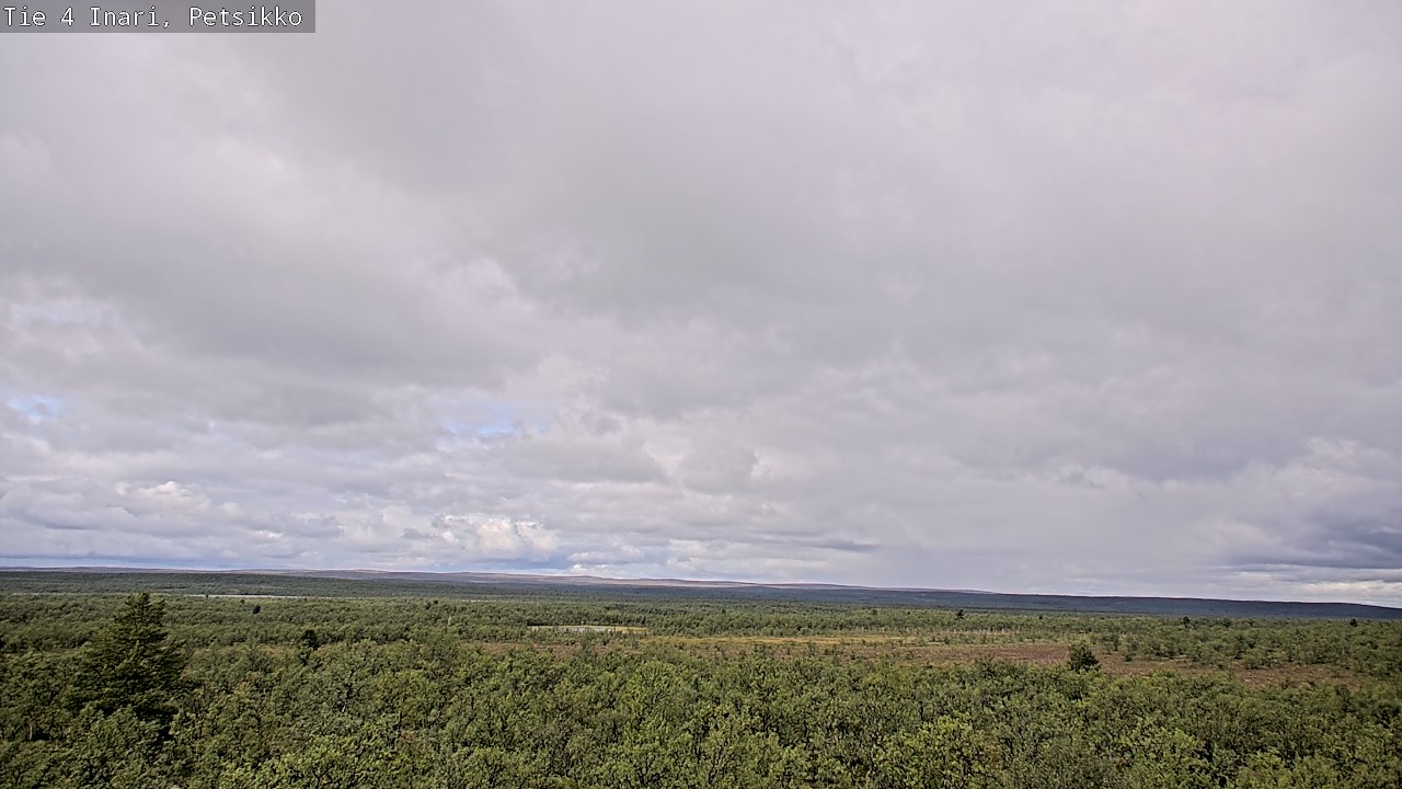 Kelikamerat Kuva Tie 4 Inari, Petsikko, Inari, Lappi