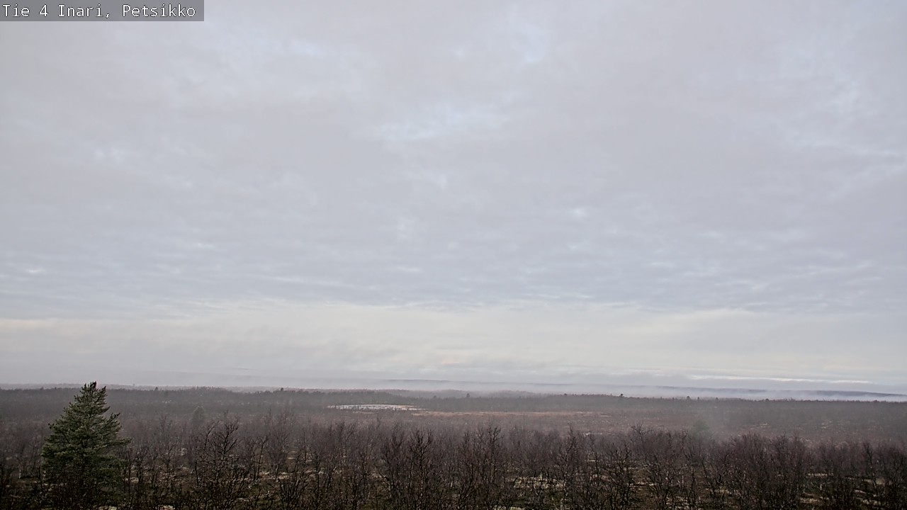 Kelikamerat Kuva Tie 4 Inari, Petsikko, Inari, Lappi