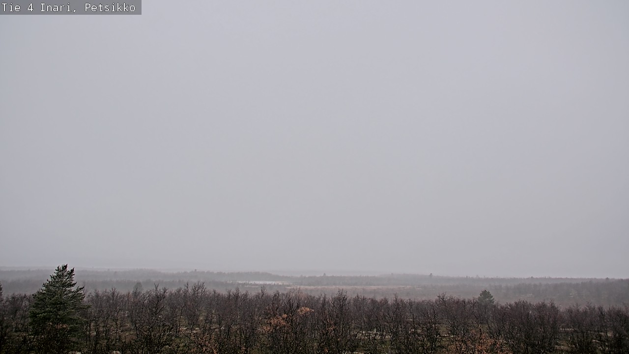 Kelikamerat Kuva Tie 4 Inari, Petsikko, Inari, Lappi
