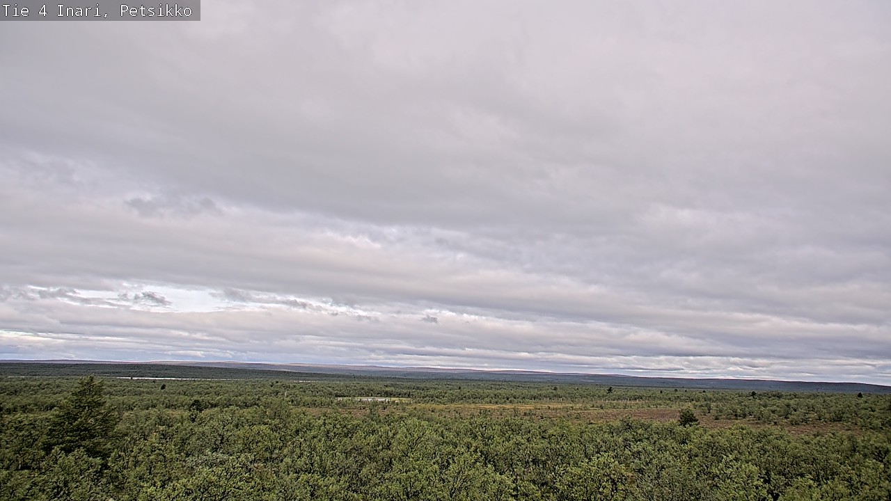 Kelikamerat Kuva Tie 4 Inari, Petsikko, Inari, Lappi