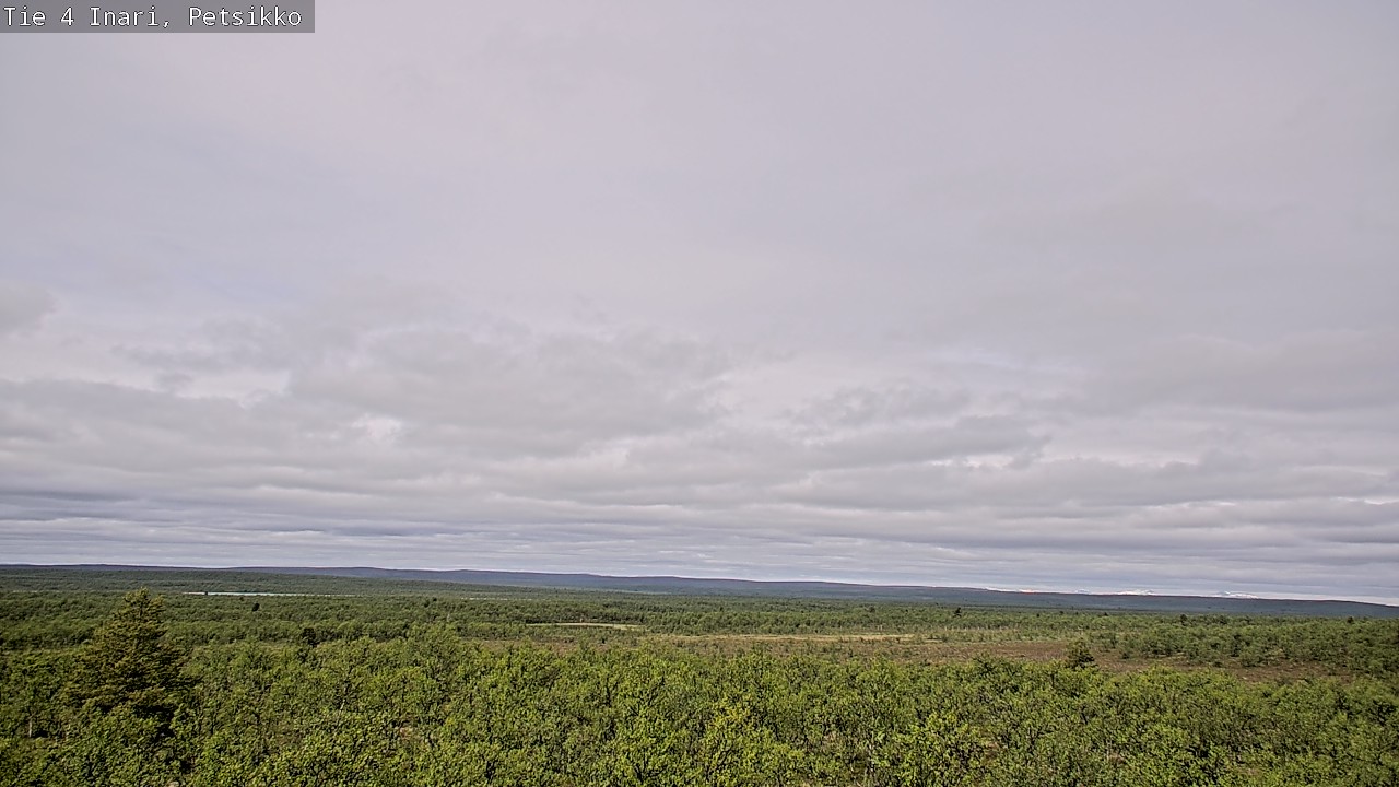 Kelikamerat Kuva Tie 4 Inari, Petsikko, Inari, Lappi