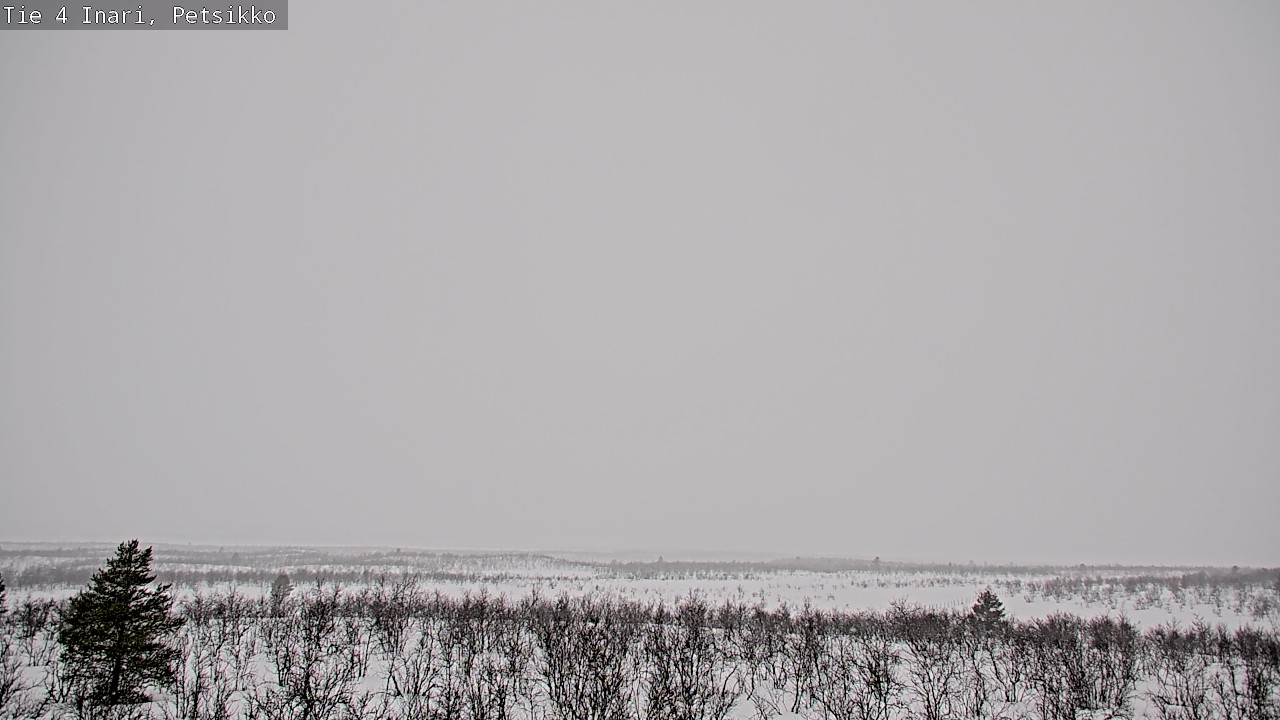 Kelikamerat Kuva Tie 4 Inari, Petsikko, Inari, Lappi