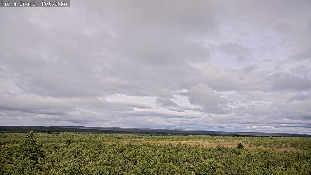 Kelikamerat Kuva Tie 4 Inari, Petsikko, Inari, Lappi