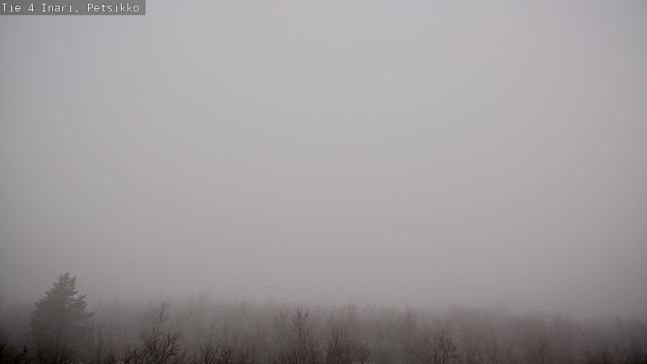 Kelikamerat Kuva Tie 4 Inari, Petsikko, Inari, Lappi