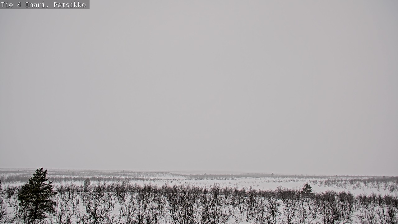 Kelikamerat Kuva Tie 4 Inari, Petsikko, Inari, Lappi