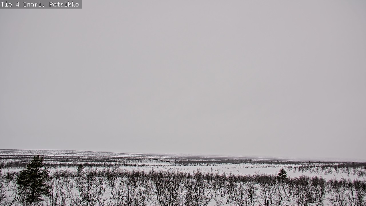 Kelikamerat Kuva Tie 4 Inari, Petsikko, Inari, Lappi