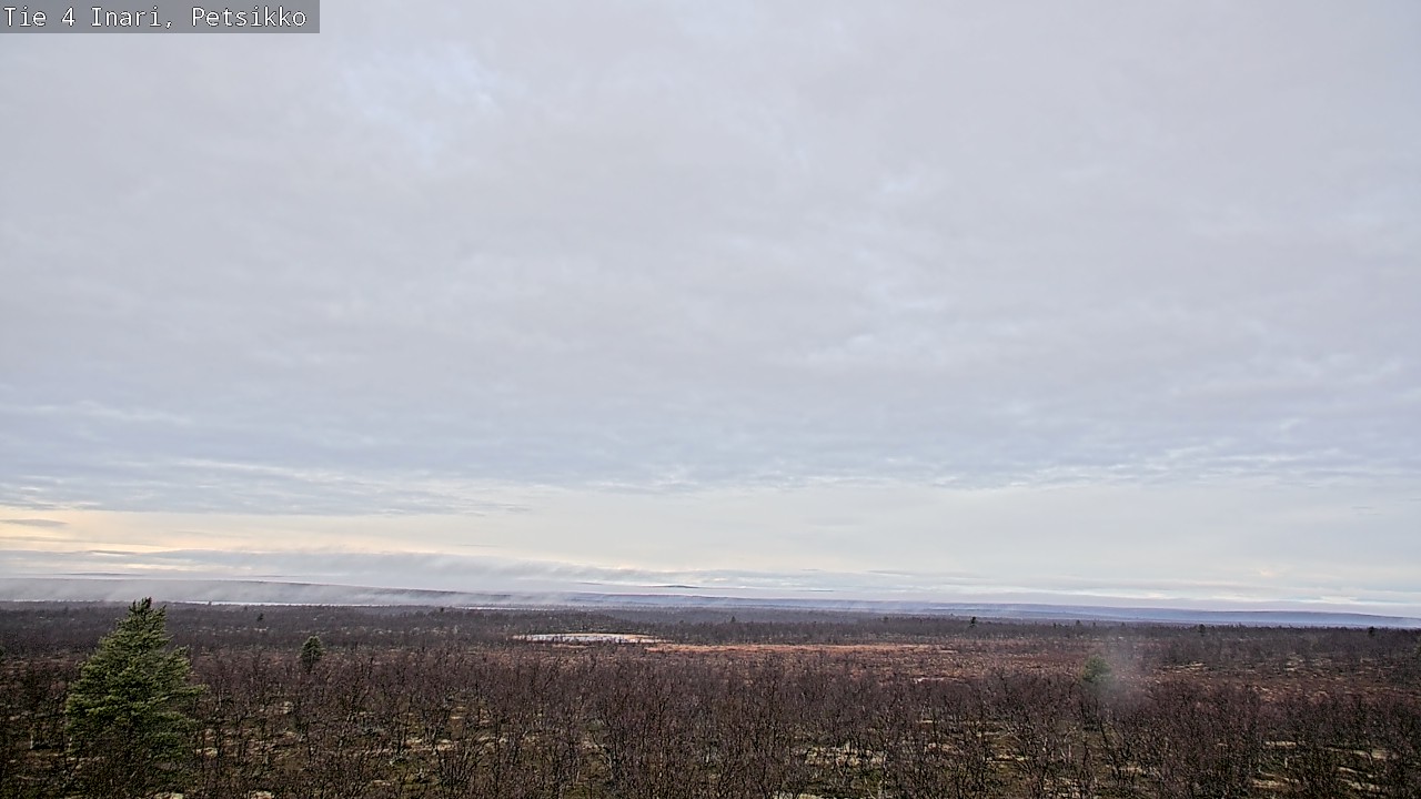 Kelikamerat Kuva Tie 4 Inari, Petsikko, Inari, Lappi