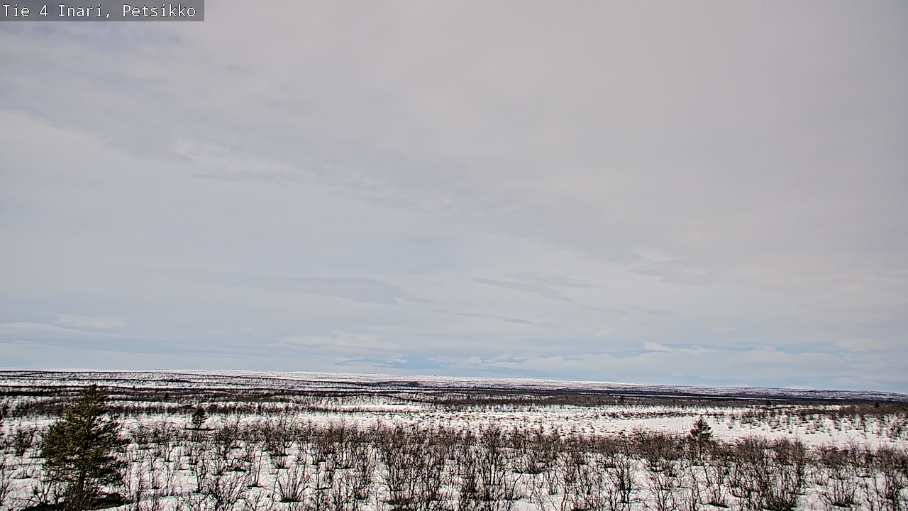 Weather Camera Image Väg 4 Enare, Petsikko, Inari, Lappi