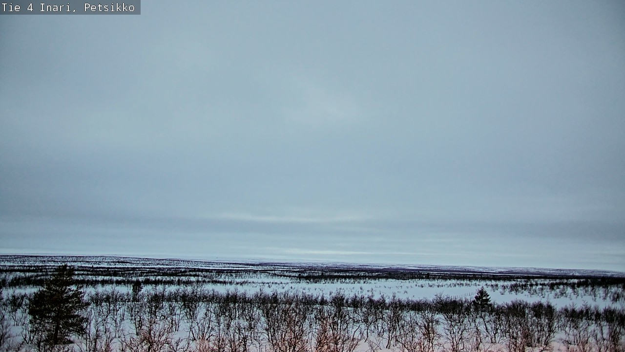 Kelikamerat Kuva Tie 4 Inari, Petsikko, Inari, Lappi
