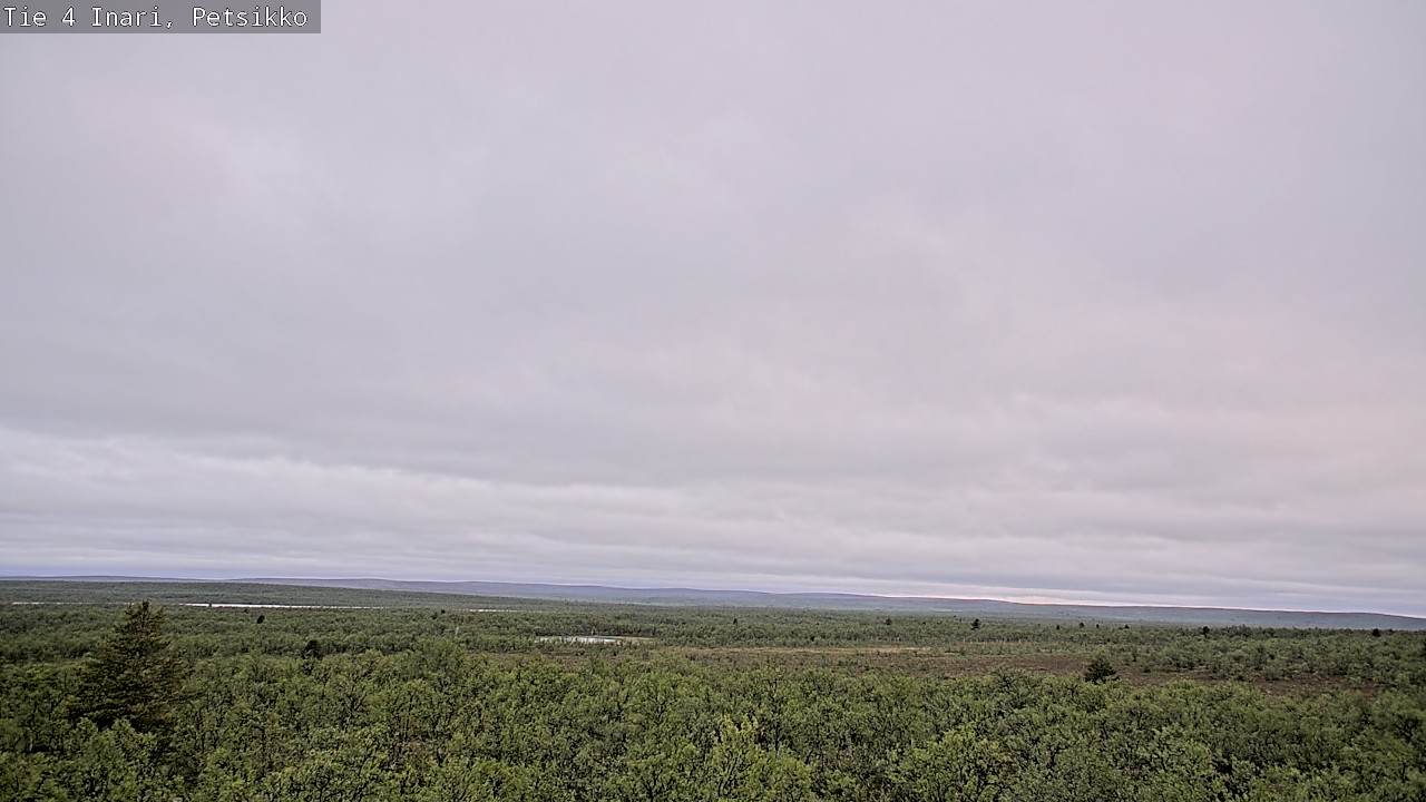 Kelikamerat Kuva Tie 4 Inari, Petsikko, Inari, Lappi