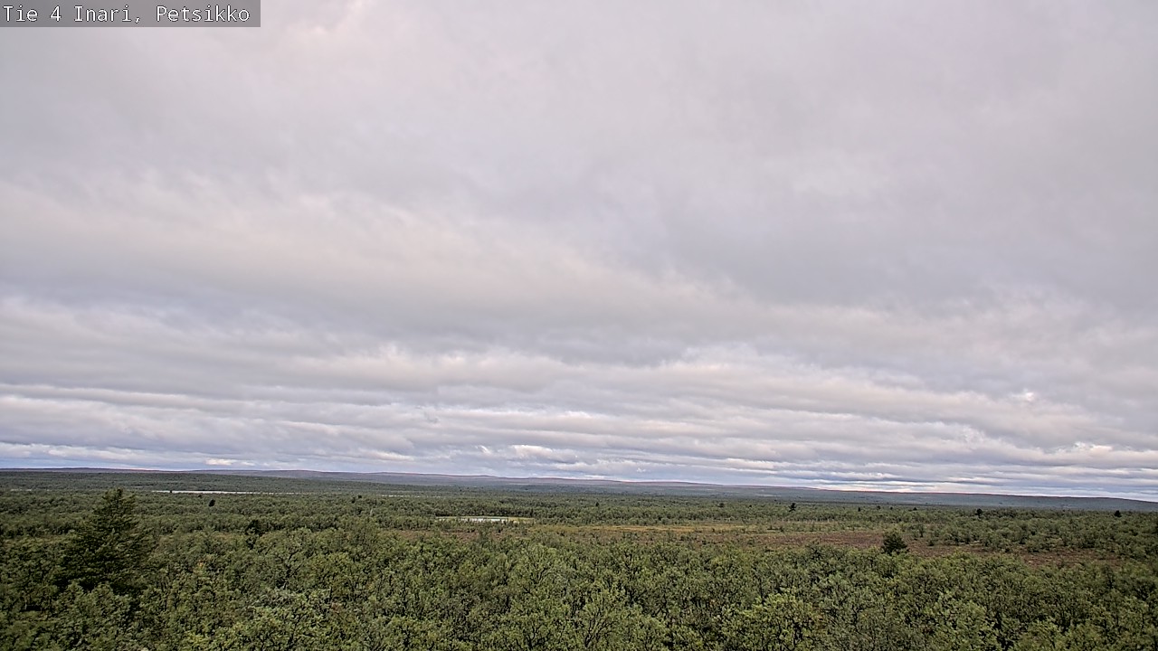 Kelikamerat Kuva Tie 4 Inari, Petsikko, Inari, Lappi