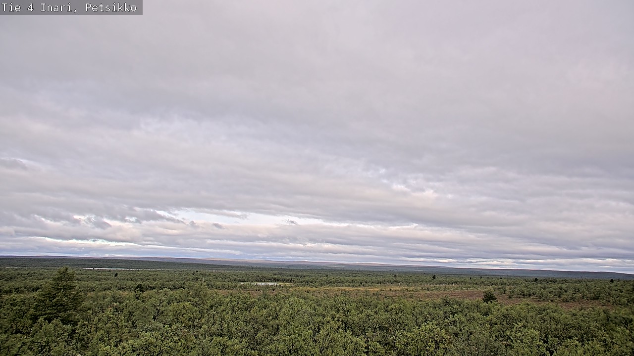 Kelikamerat Kuva Tie 4 Inari, Petsikko, Inari, Lappi