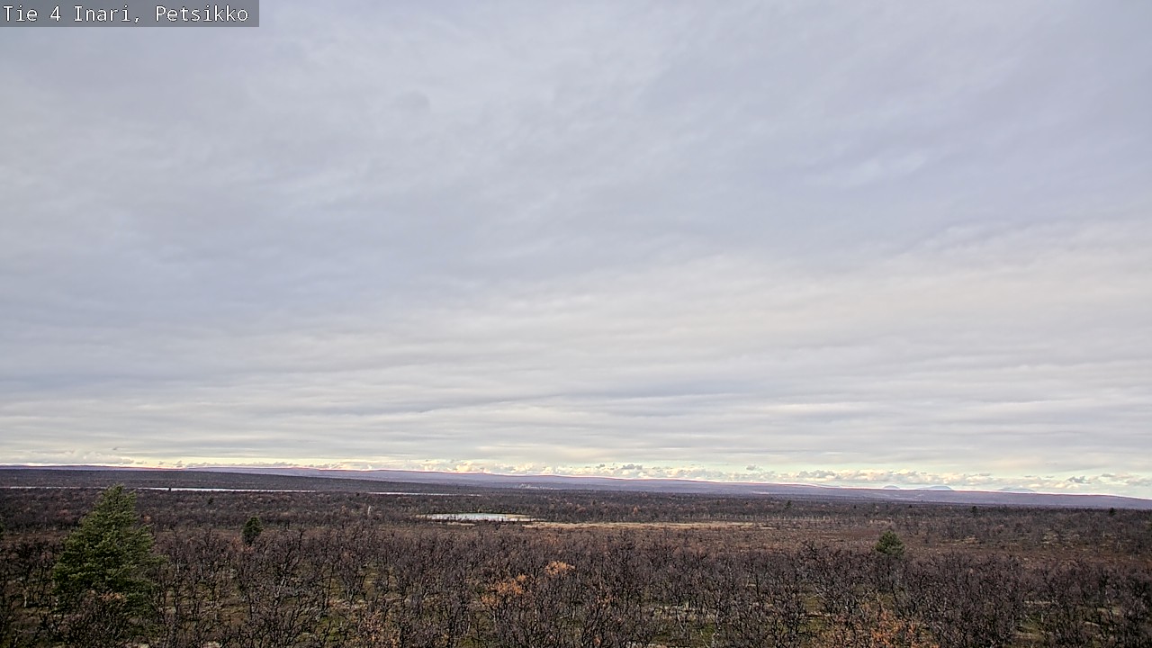 Kelikamerat Kuva Tie 4 Inari, Petsikko, Inari, Lappi
