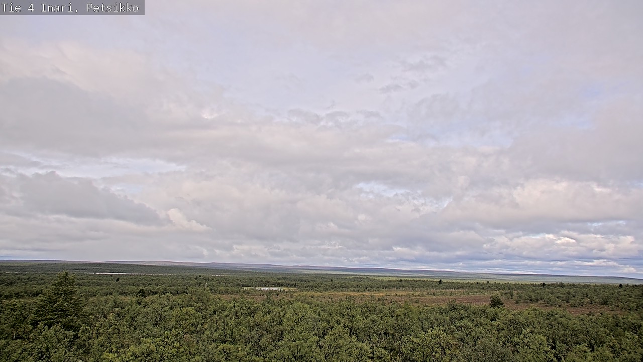 Kelikamerat Kuva Tie 4 Inari, Petsikko, Inari, Lappi