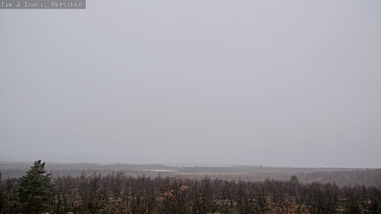 Kelikamerat Kuva Tie 4 Inari, Petsikko, Inari, Lappi