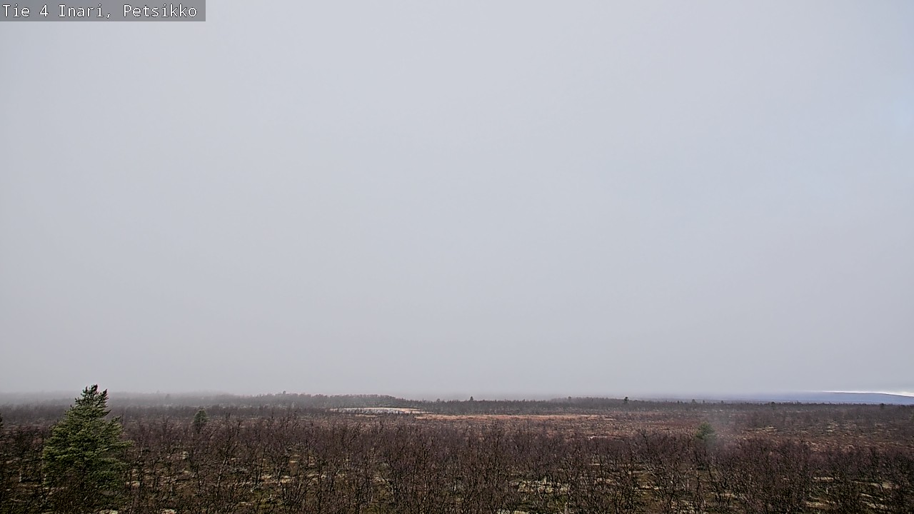 Kelikamerat Kuva Tie 4 Inari, Petsikko, Inari, Lappi