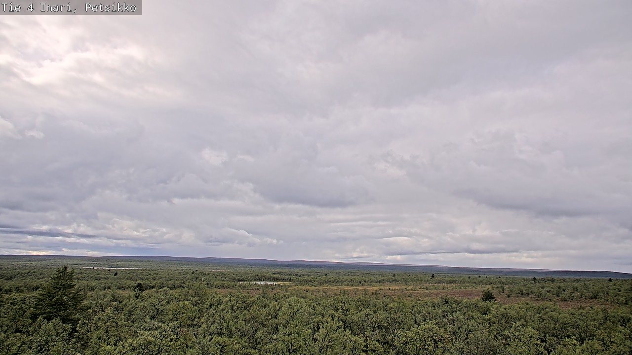Kelikamerat Kuva Tie 4 Inari, Petsikko, Inari, Lappi