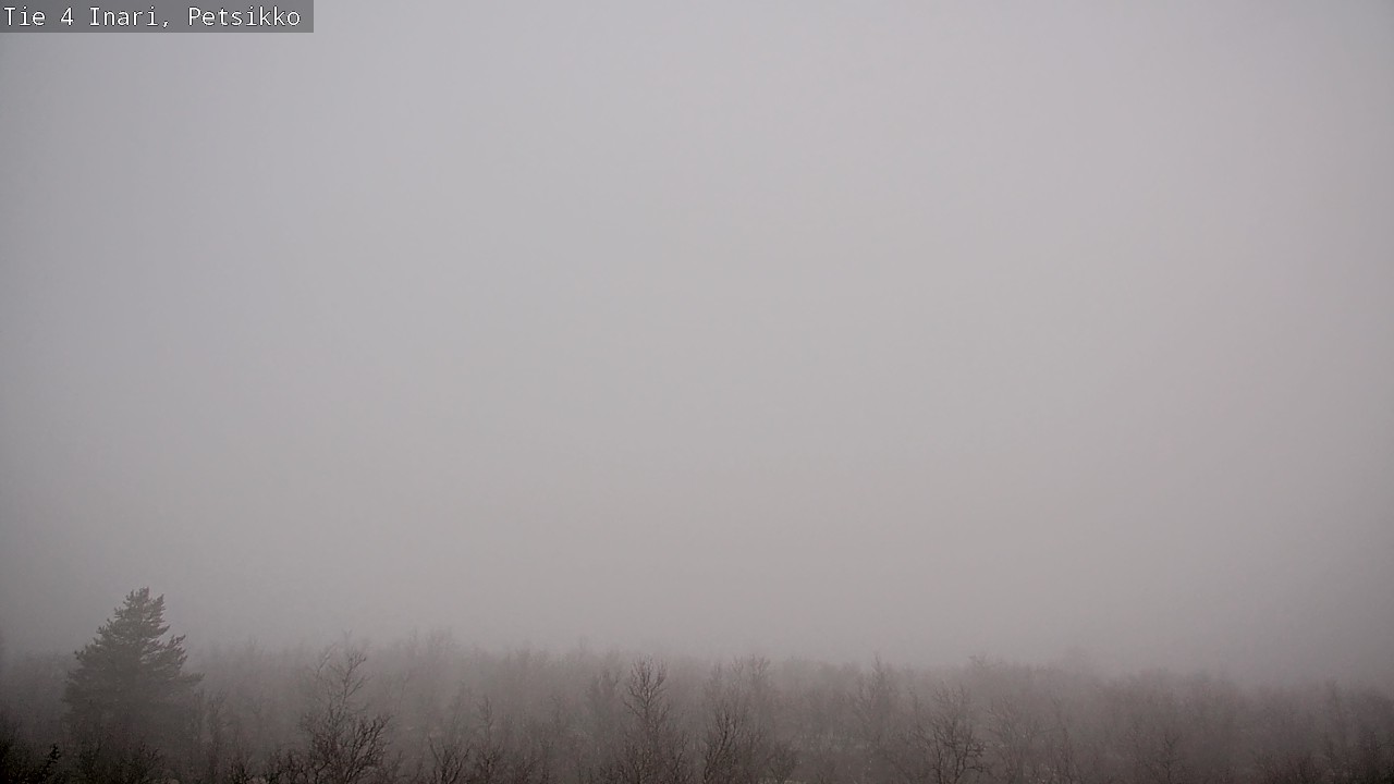 Kelikamerat Kuva Tie 4 Inari, Petsikko, Inari, Lappi