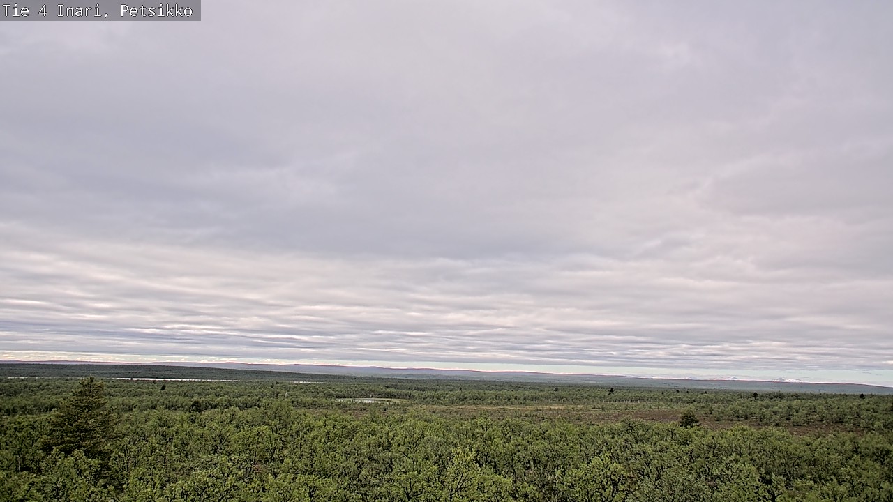 Kelikamerat Kuva Tie 4 Inari, Petsikko, Inari, Lappi