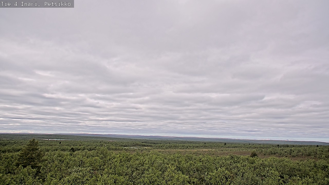 Kelikamerat Kuva Tie 4 Inari, Petsikko, Inari, Lappi