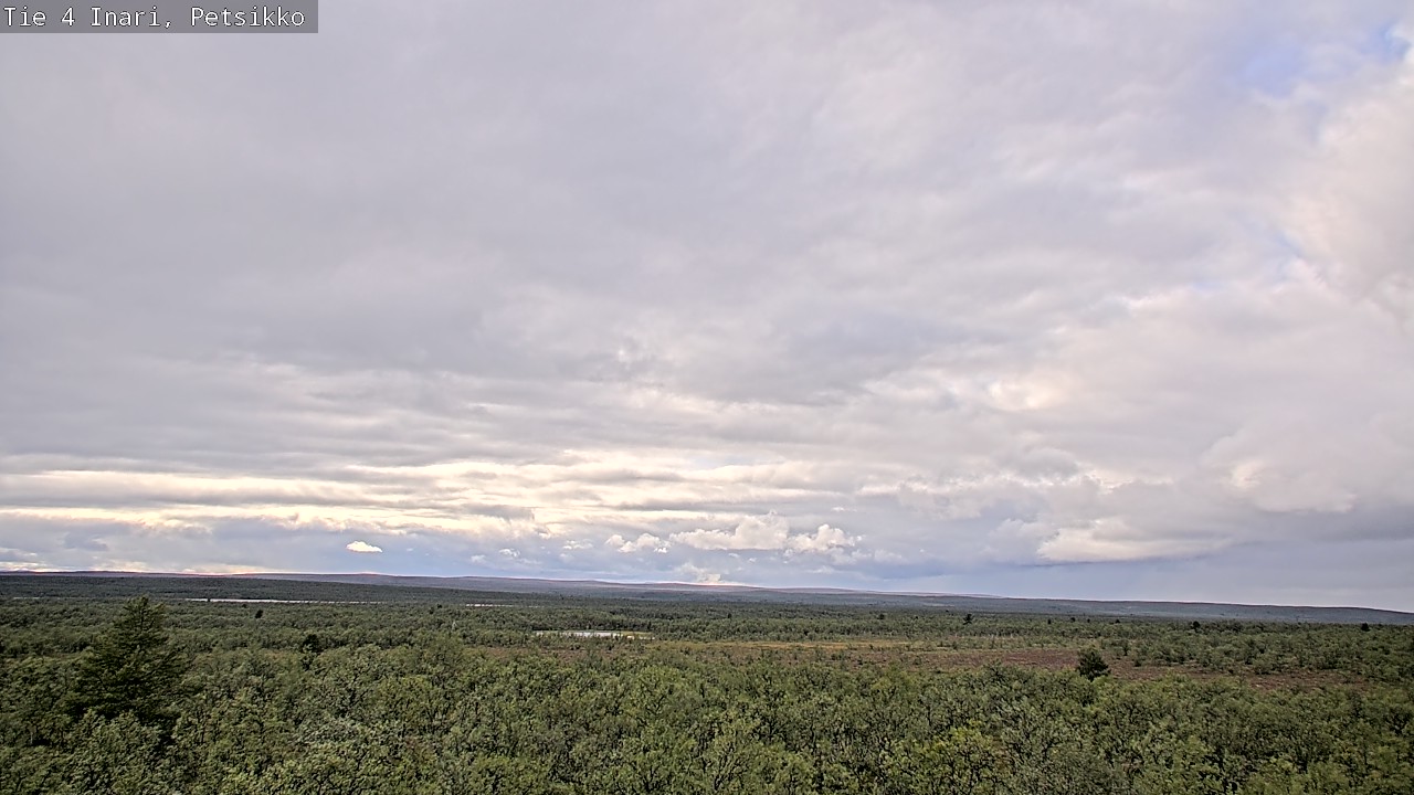Kelikamerat Kuva Tie 4 Inari, Petsikko, Inari, Lappi