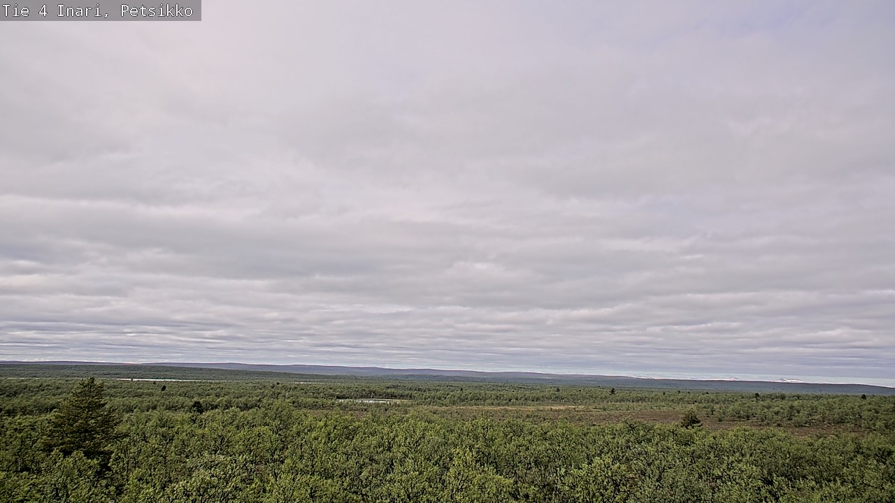 Kelikamerat Kuva Tie 4 Inari, Petsikko, Inari, Lappi