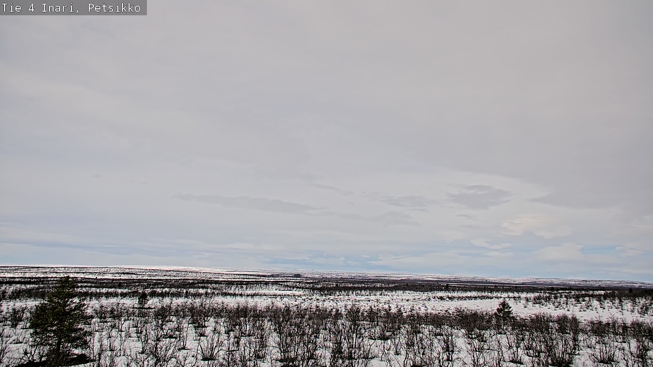 Weather Camera Image Väg 4 Enare, Petsikko, Inari, Lappi