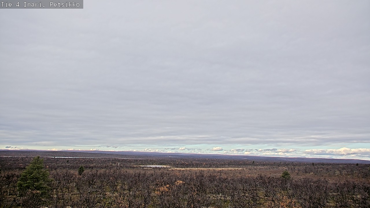 Kelikamerat Kuva Tie 4 Inari, Petsikko, Inari, Lappi
