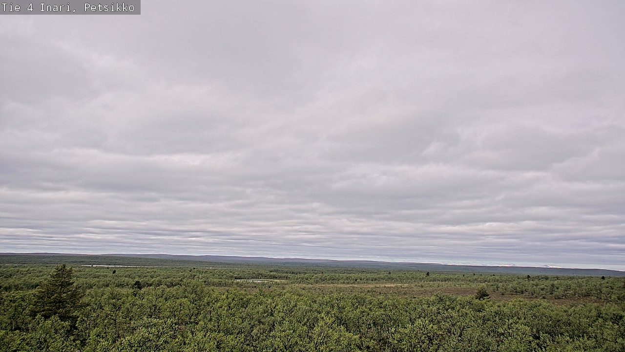 Kelikamerat Kuva Tie 4 Inari, Petsikko, Inari, Lappi