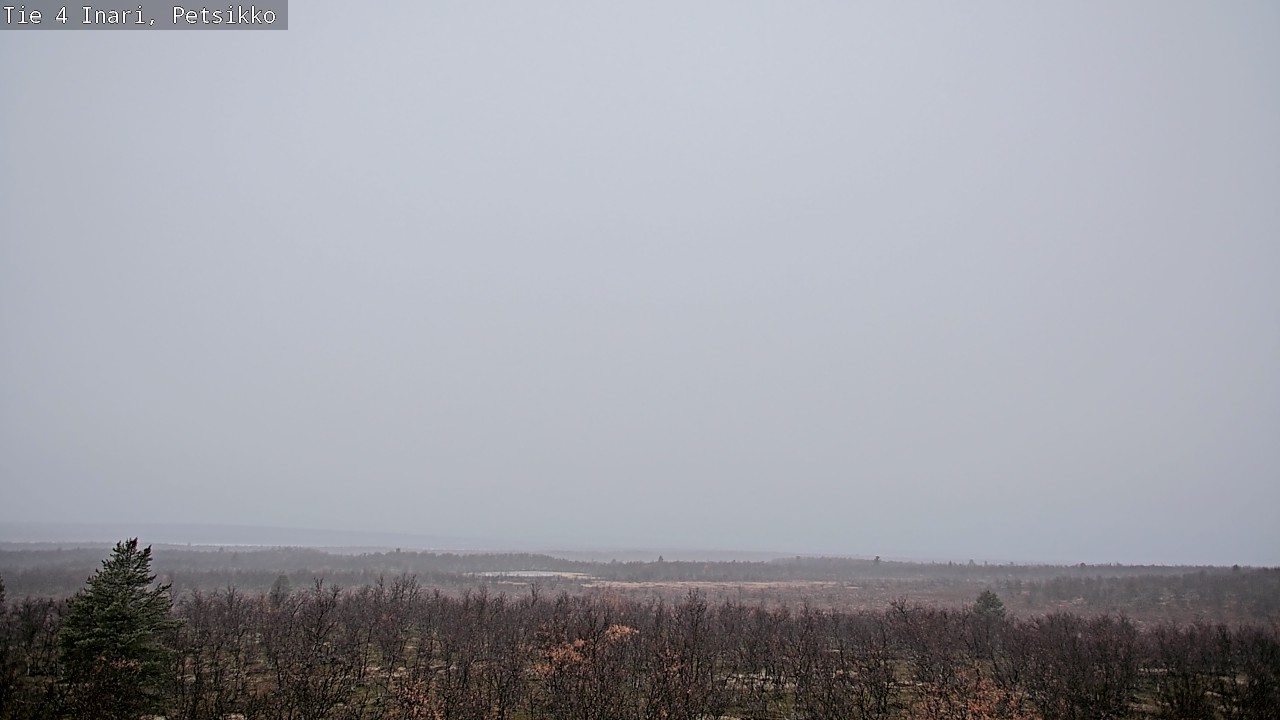 Kelikamerat Kuva Tie 4 Inari, Petsikko, Inari, Lappi