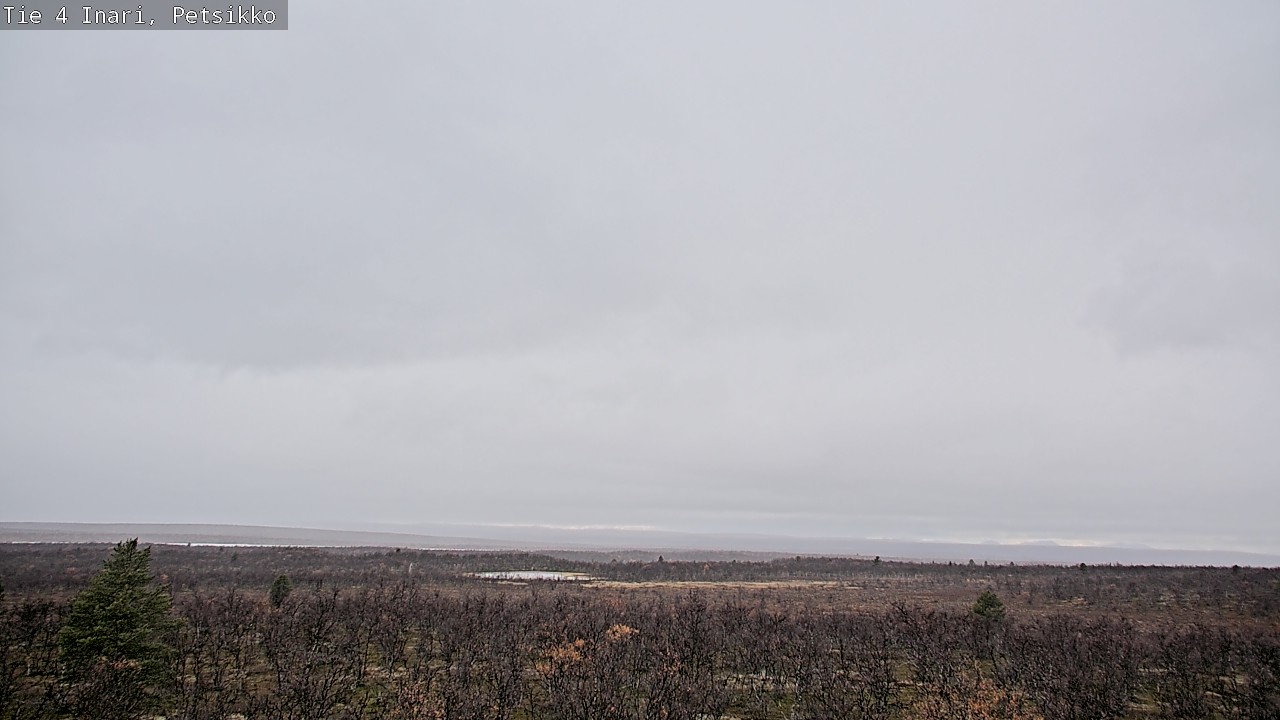 Kelikamerat Kuva Tie 4 Inari, Petsikko, Inari, Lappi