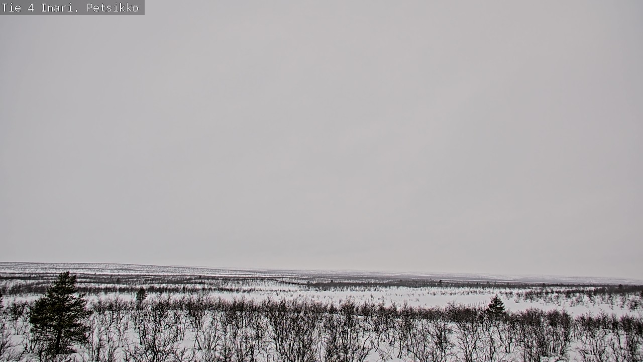 Kelikamerat Kuva Tie 4 Inari, Petsikko, Inari, Lappi