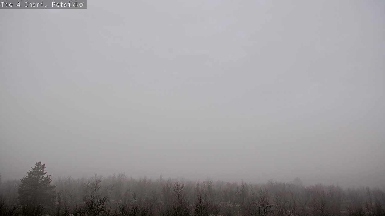 Kelikamerat Kuva Tie 4 Inari, Petsikko, Inari, Lappi