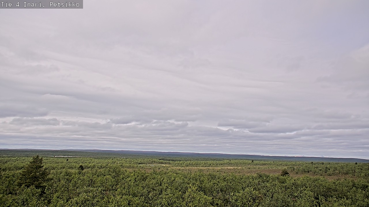 Kelikamerat Kuva Tie 4 Inari, Petsikko, Inari, Lappi