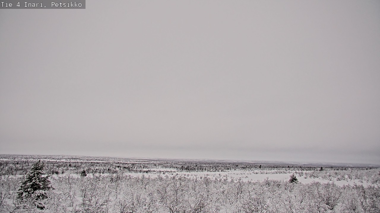 Kelikamerat Kuva Tie 4 Inari, Petsikko, Inari, Lappi