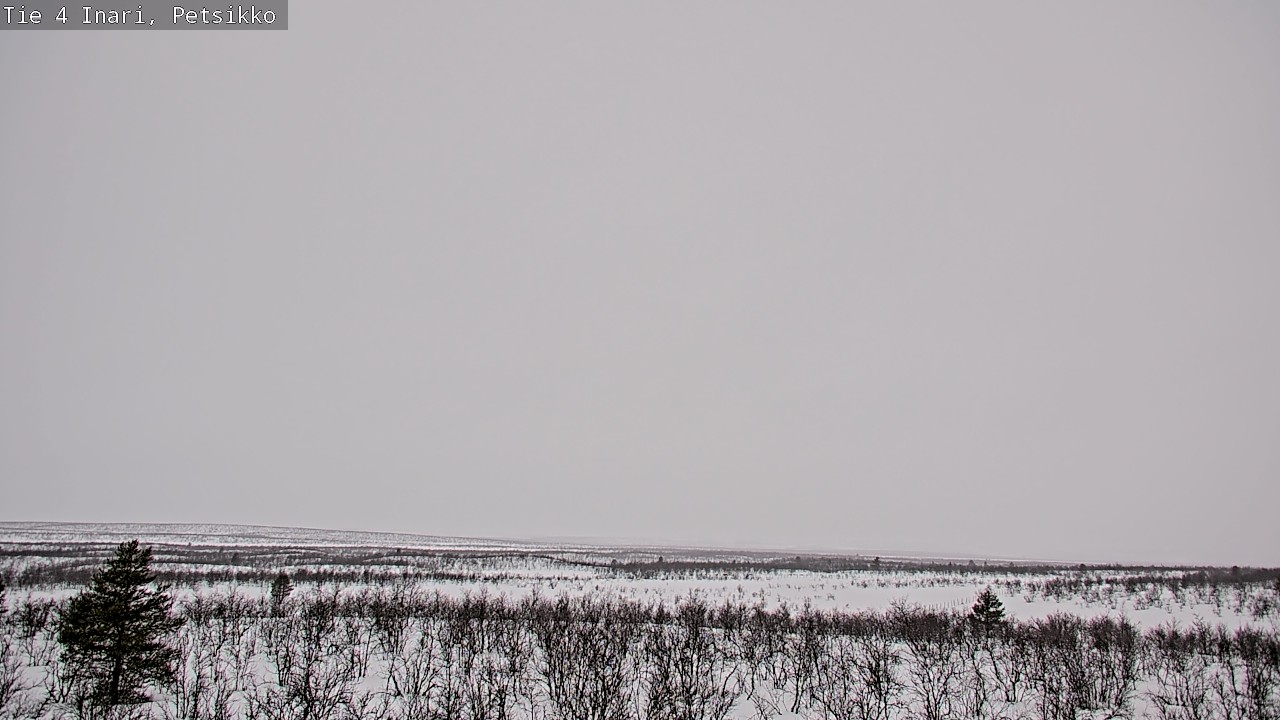 Kelikamerat Kuva Tie 4 Inari, Petsikko, Inari, Lappi