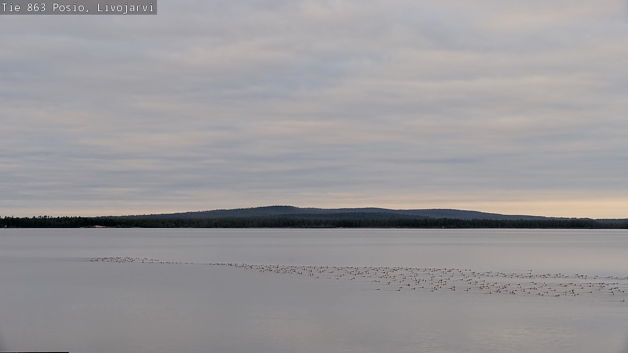 Kelikamerat Kuva Tie 863 Livojärvi, Posio, Lappi