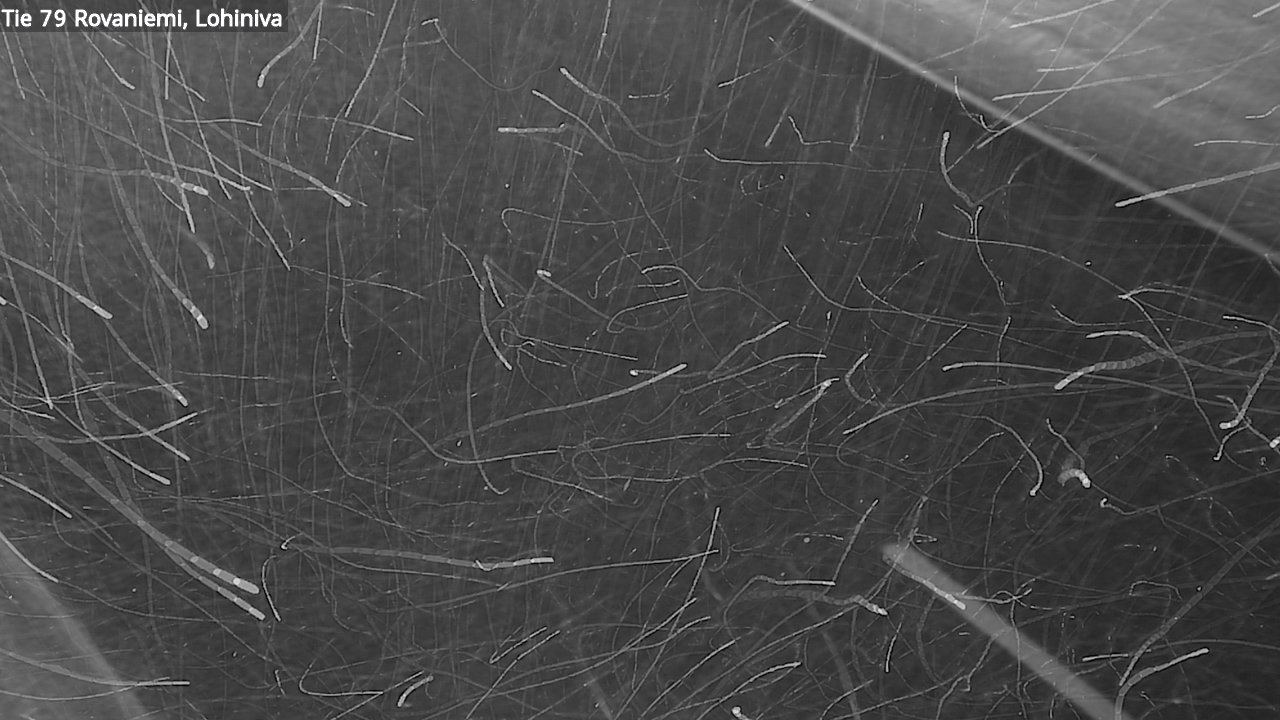 Kelikamerat Kuva Tie 79 Rovaniemi Lohiniva, Rovaniemi, Lappi