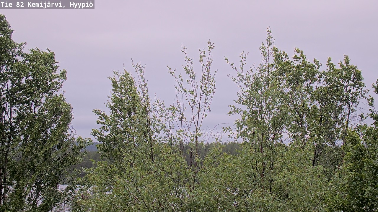 Weather Camera Image Väg 5 Kemi träsk, hyypiö, Kemijärvi, Lappi