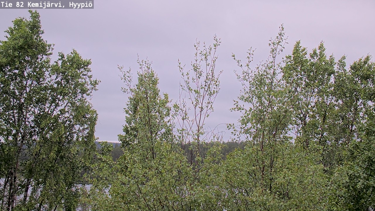 Weather Camera Image Väg 5 Kemi träsk, hyypiö, Kemijärvi, Lappi