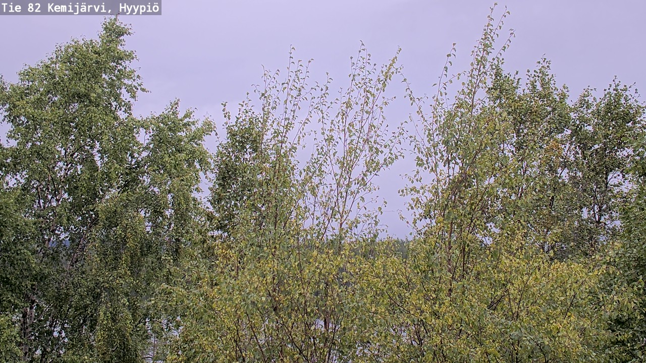 Kelikamerat Kuva Tie 82 Kemijärvi, Hyypiö, Kemijärvi, Lappi
