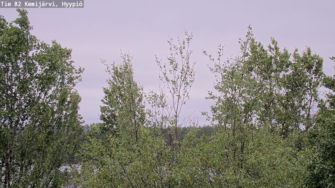 Weather Camera Image Väg 5 Kemi träsk, hyypiö, Kemijärvi, Lappi