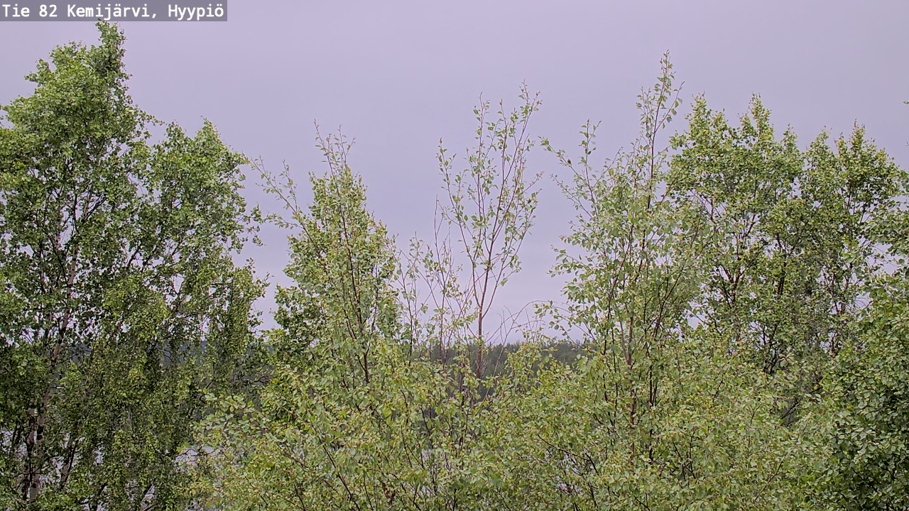 Weather Camera Image Väg 5 Kemi träsk, hyypiö, Kemijärvi, Lappi