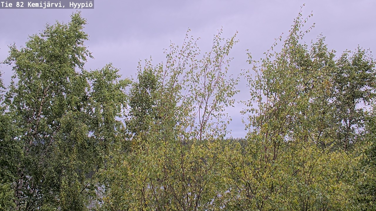 Kelikamerat Kuva Tie 82 Kemijärvi, Hyypiö, Kemijärvi, Lappi