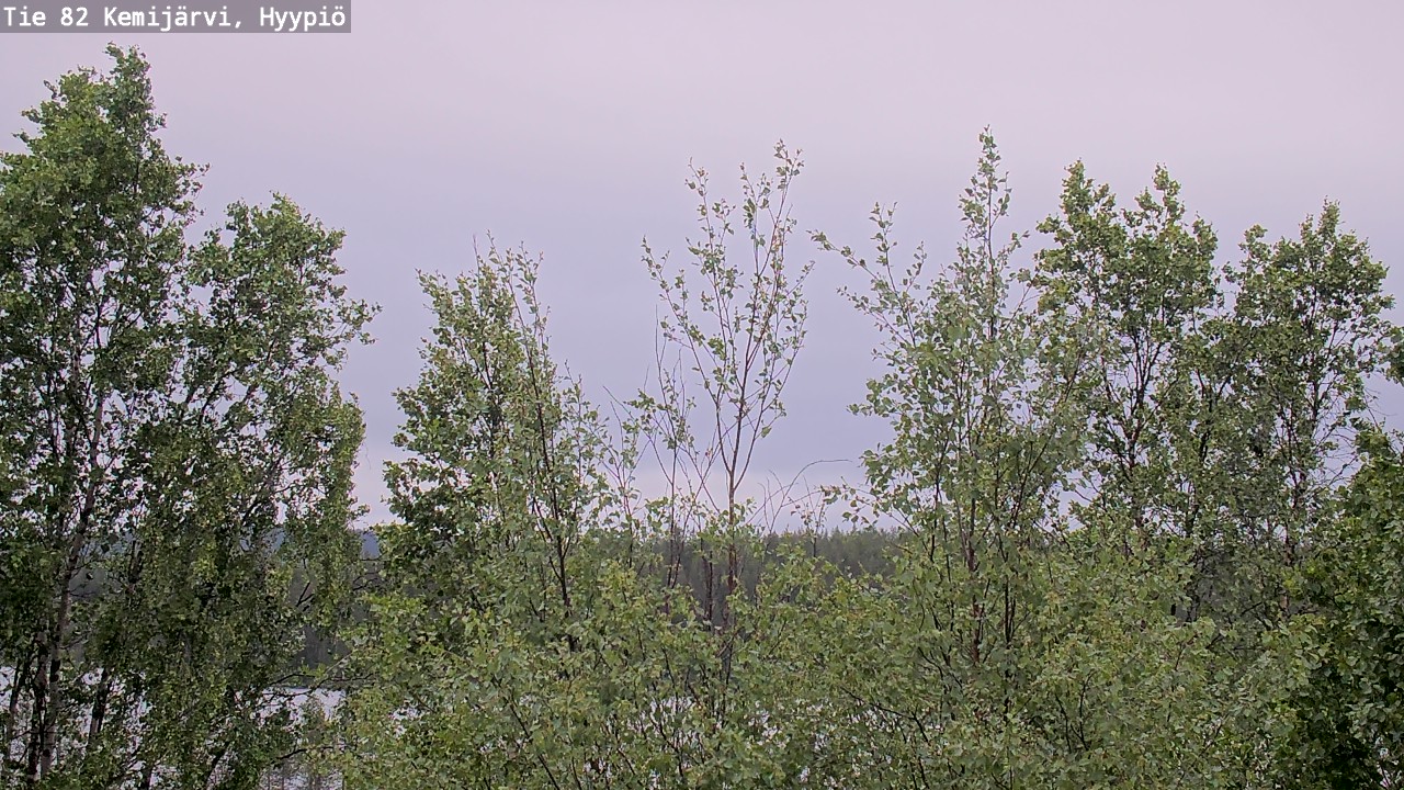 Weather Camera Image Väg 5 Kemi träsk, hyypiö, Kemijärvi, Lappi